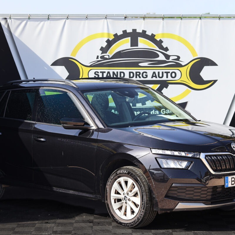 Skoda Kamiq Ambition 1.0 Tsi 110cv DSG